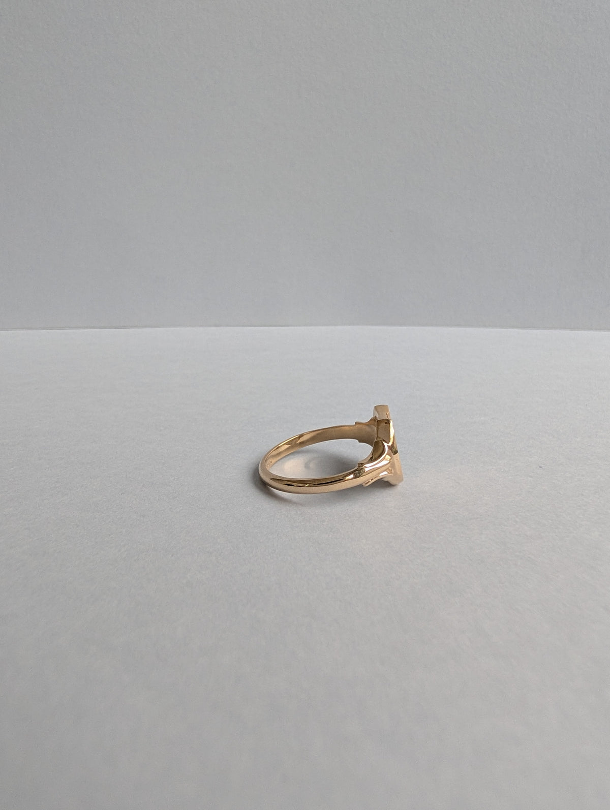 Horseshoe Signet Ring